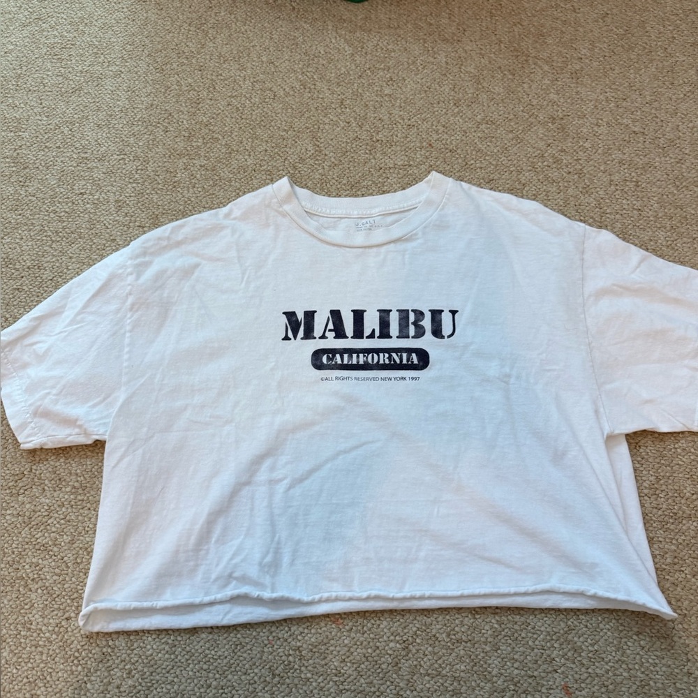 Brandy Melville Malibu Cropped T-Shirt